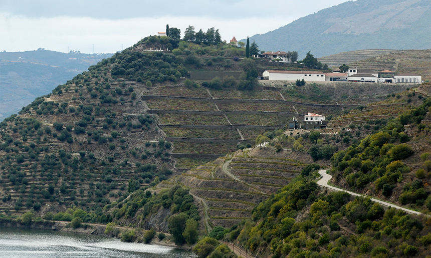 vinarstvi Quinta do Crasto